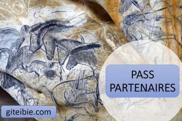 Carte PASS gratuite