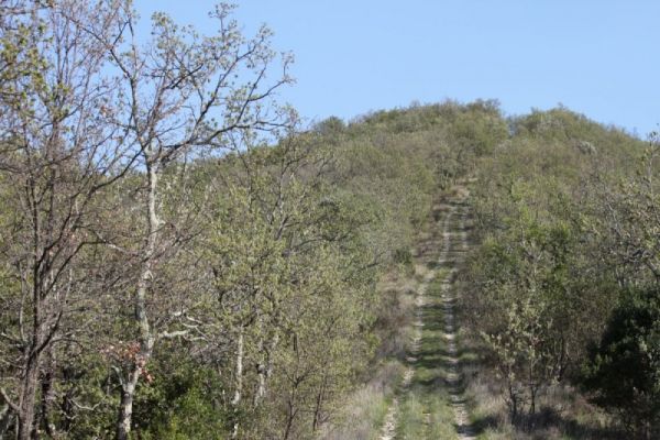 Chemin de randonnée