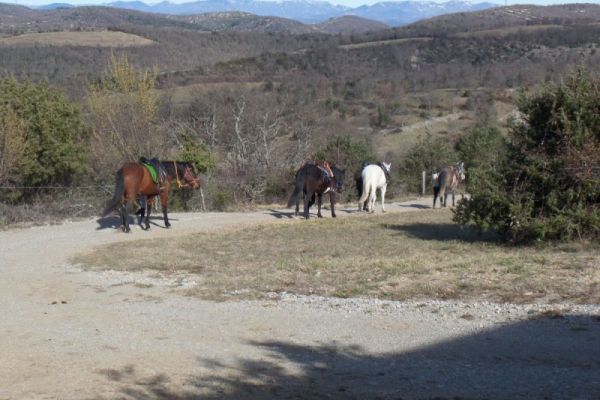 Départ de balade à cheval