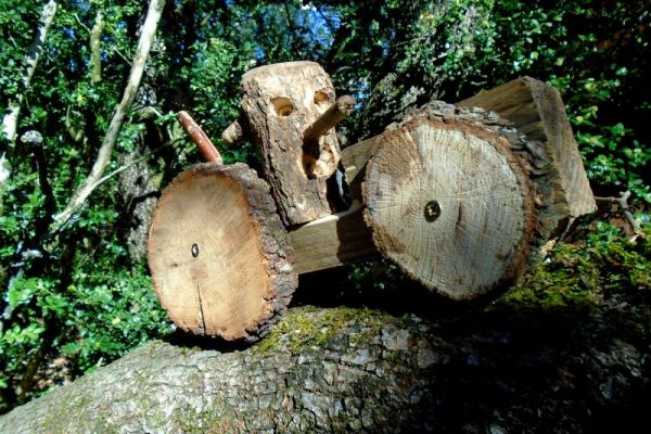 tout en bois dans la forêt d'Emile Zabre